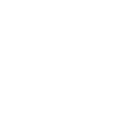 The Lingo House Logo